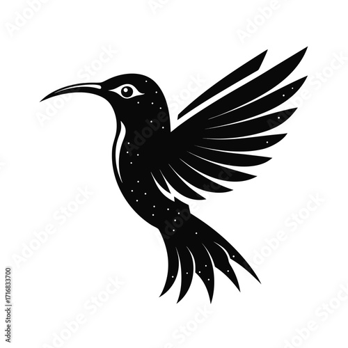 Elegant sunbird silhouette in flight