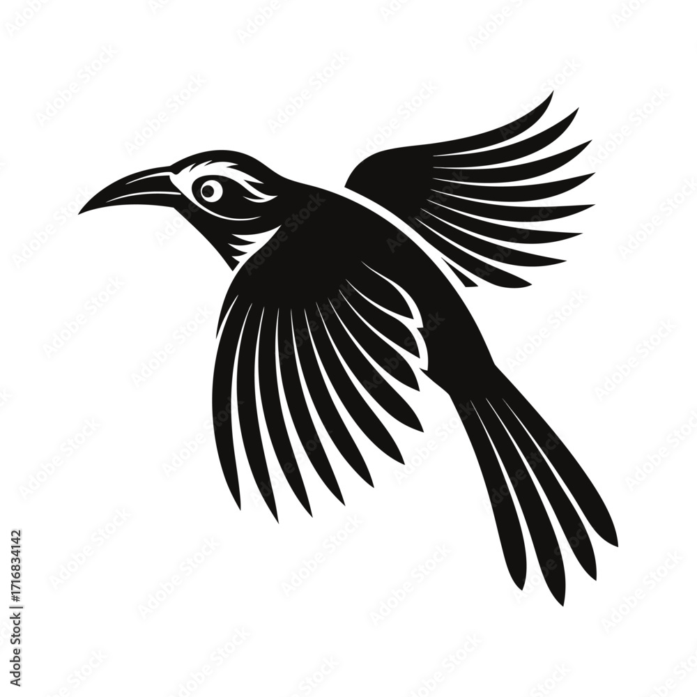 Fototapeta premium Tropical bird in flight silhouette striking pose