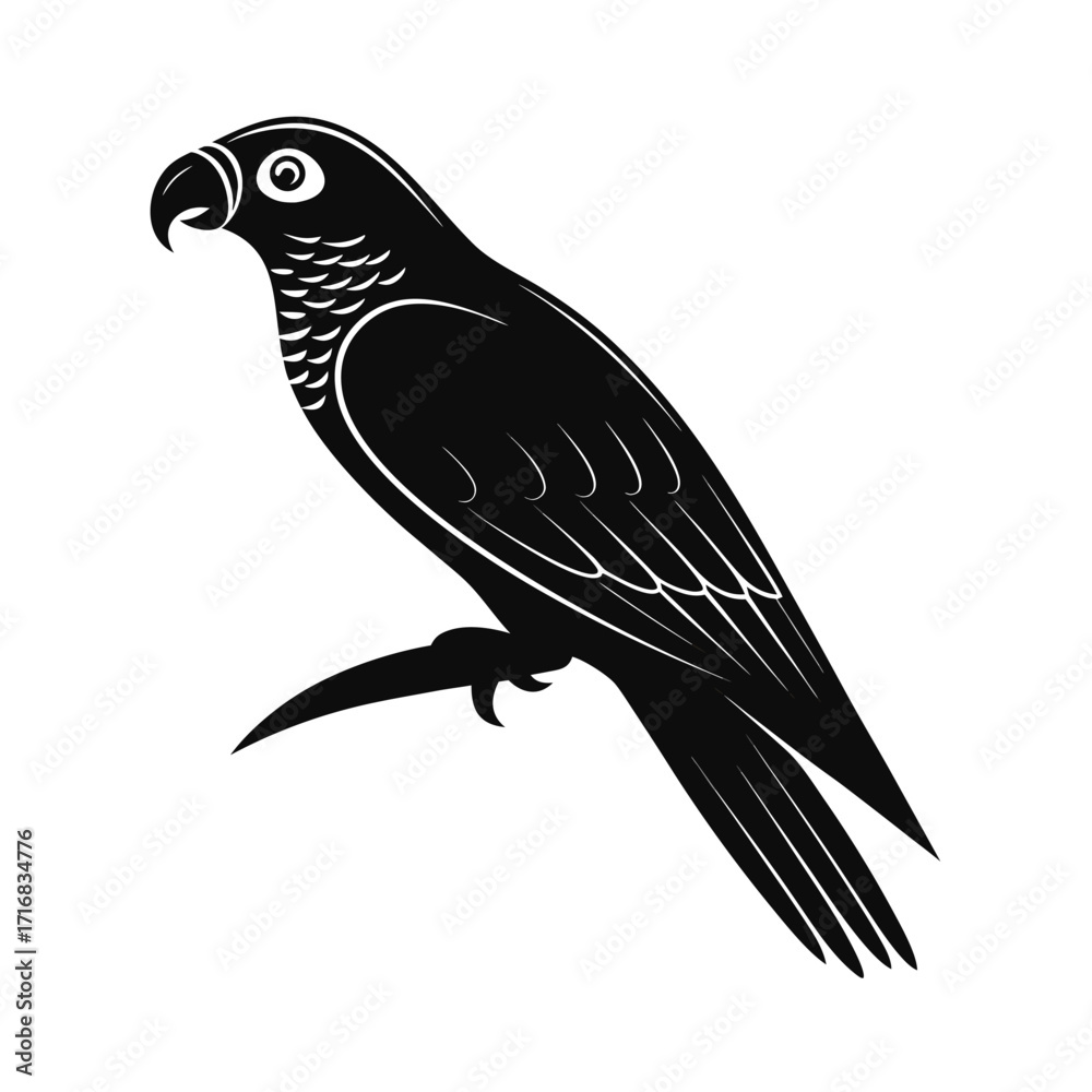 Fototapeta premium Elegant tropical parrot silhouette design
