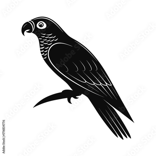 Elegant tropical parrot silhouette design