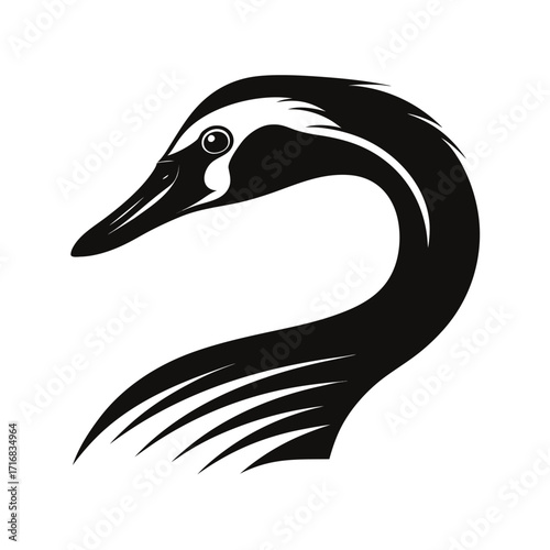 Elegant trumpeter swan neck curve silhouette