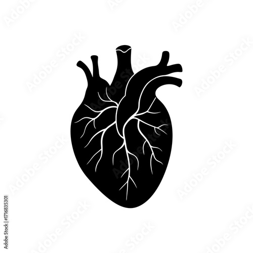 Stylized human heart art on transparent background silhouette