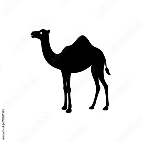 Camel silhouette standing on transparent background