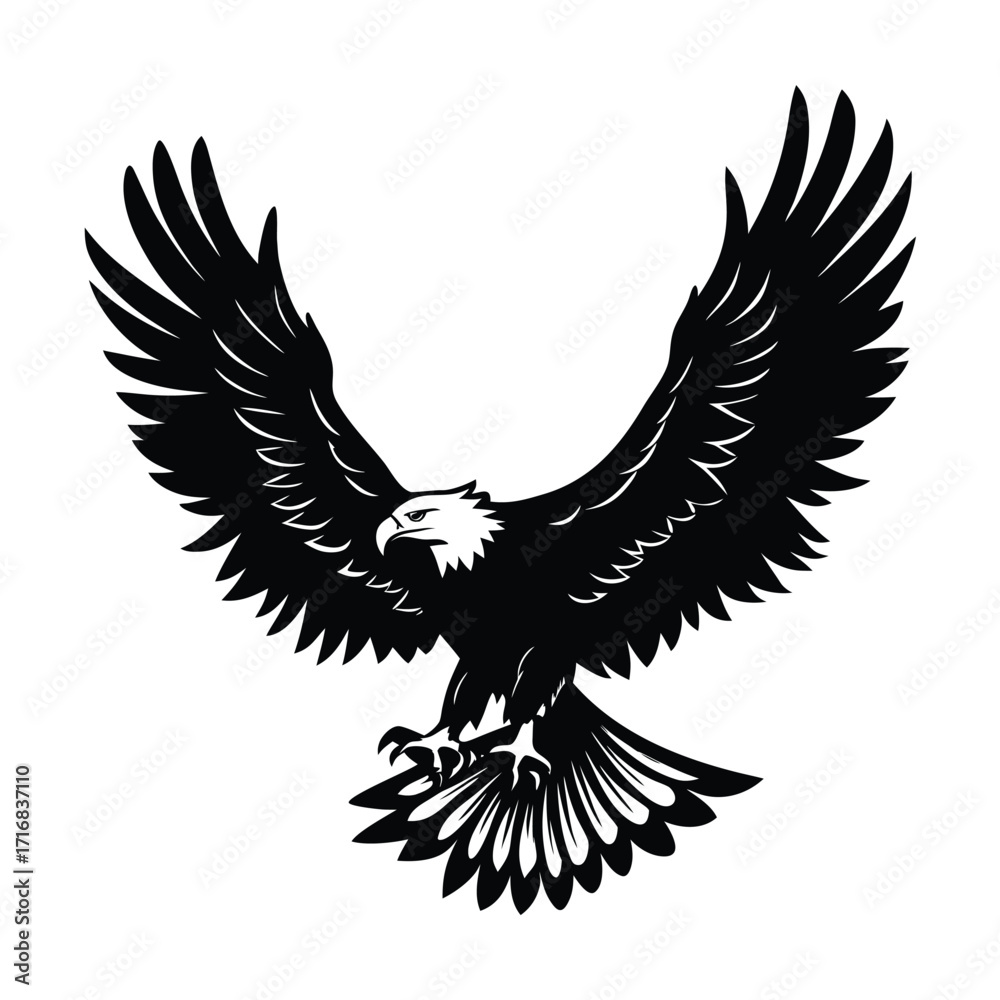 Obraz premium Majestic bald eagle descending with talons extended