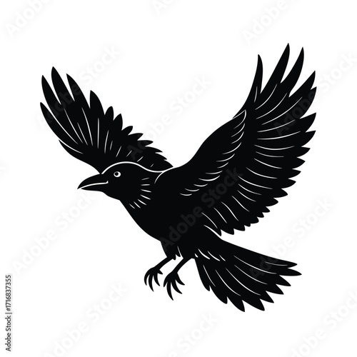 Crow flying diagonally across page with head turned