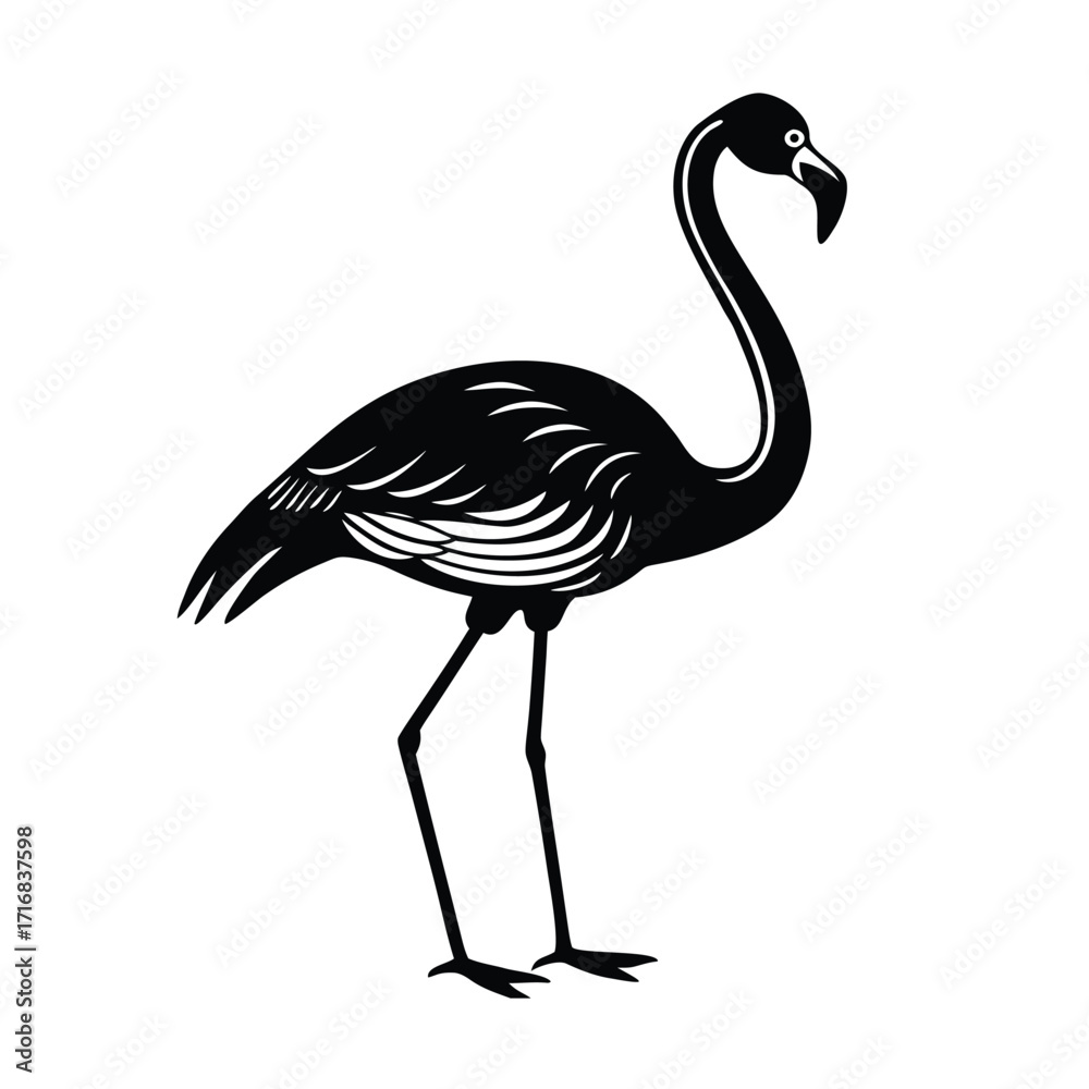 Obraz premium Flamingo standing on one leg with curved neck