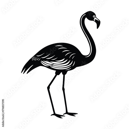 Flamingo standing on one leg with curved neck
