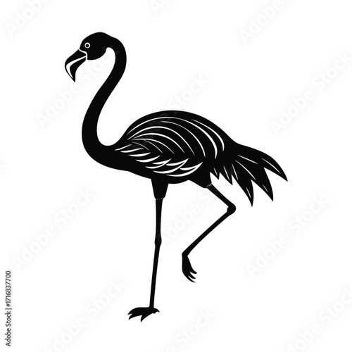 Flamingo standing on one leg with curved neck illustration
