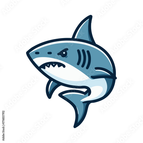 
shark illustration design