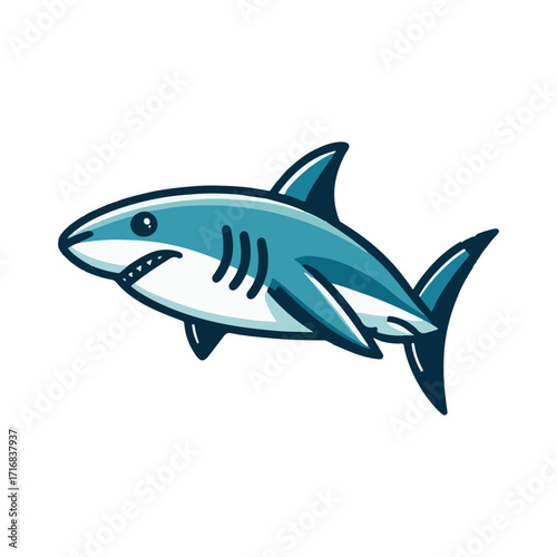 
shark illustration design