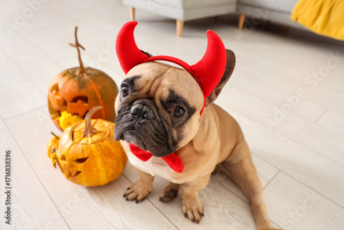 Cute French bulldog in devi...