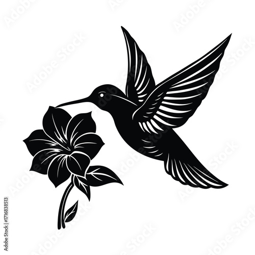 Hummingbird hovering near a vibrant flower with detailed wings