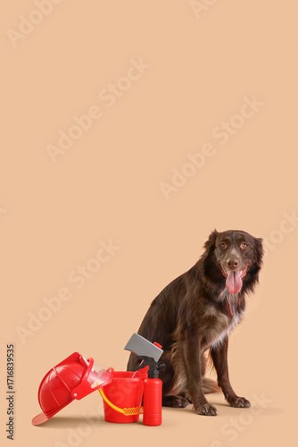 Cute dog with toy set of fi...