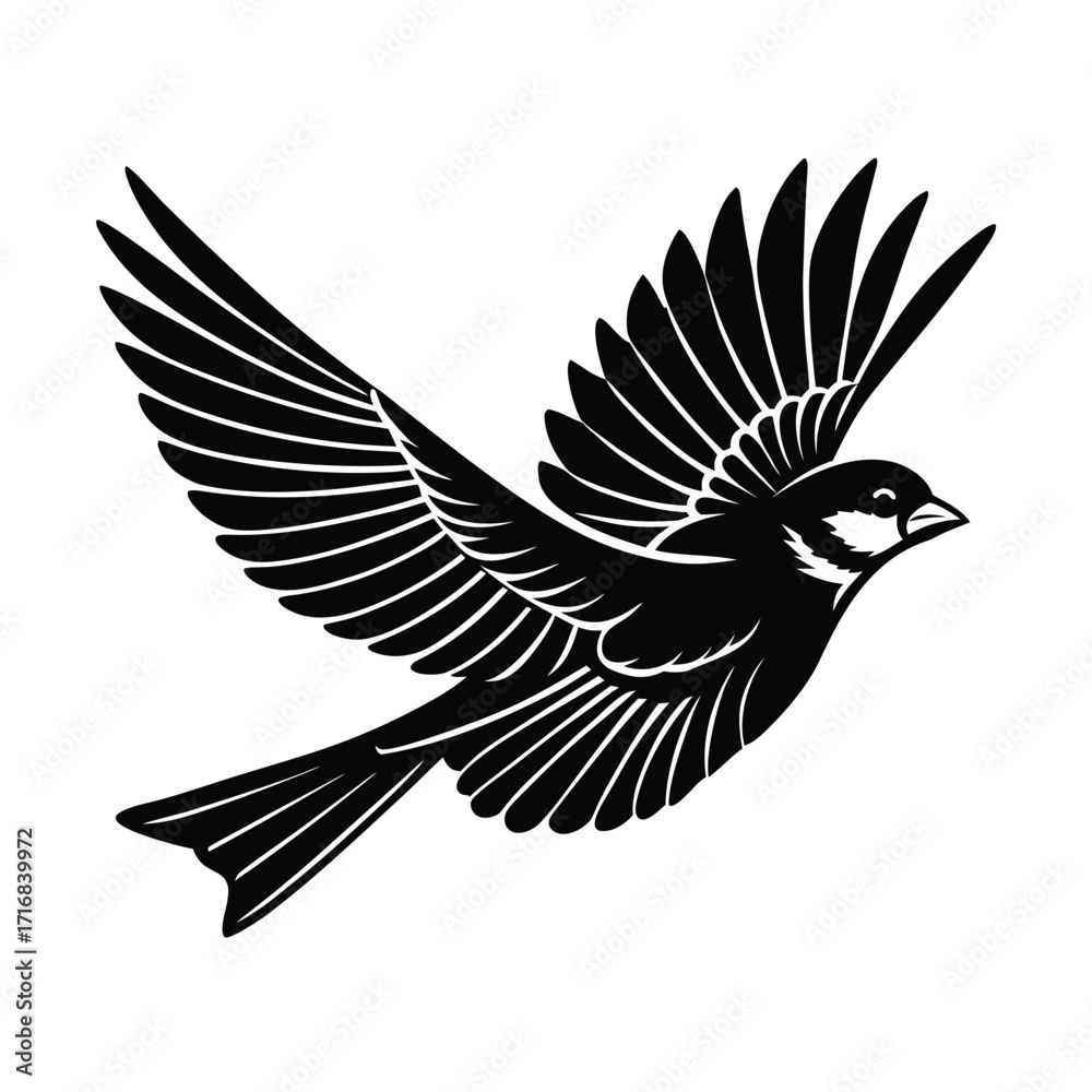 Fototapeta premium Sparrow in mid flight with wings spread and tail fanned