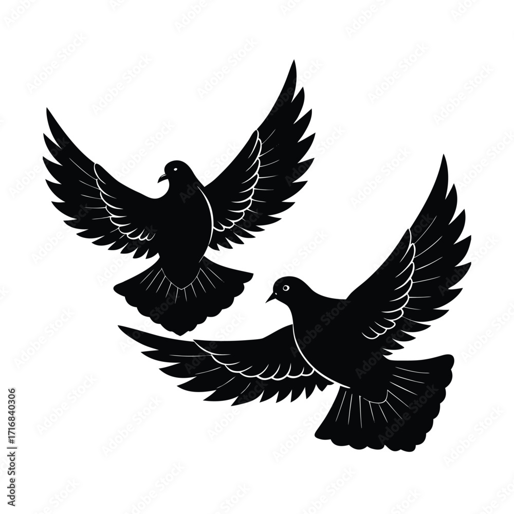 Obraz premium Two doves circling in flight side profile