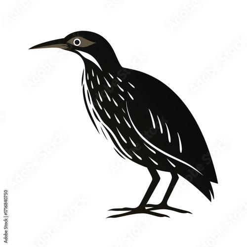 Bittern bird camouflaged silhouette standing in reeds