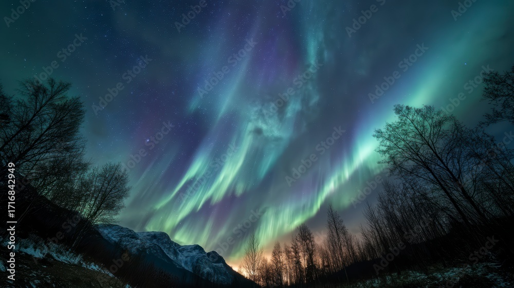 Fototapeta premium Magical auroras like flowing silk curtains under starry skies, 