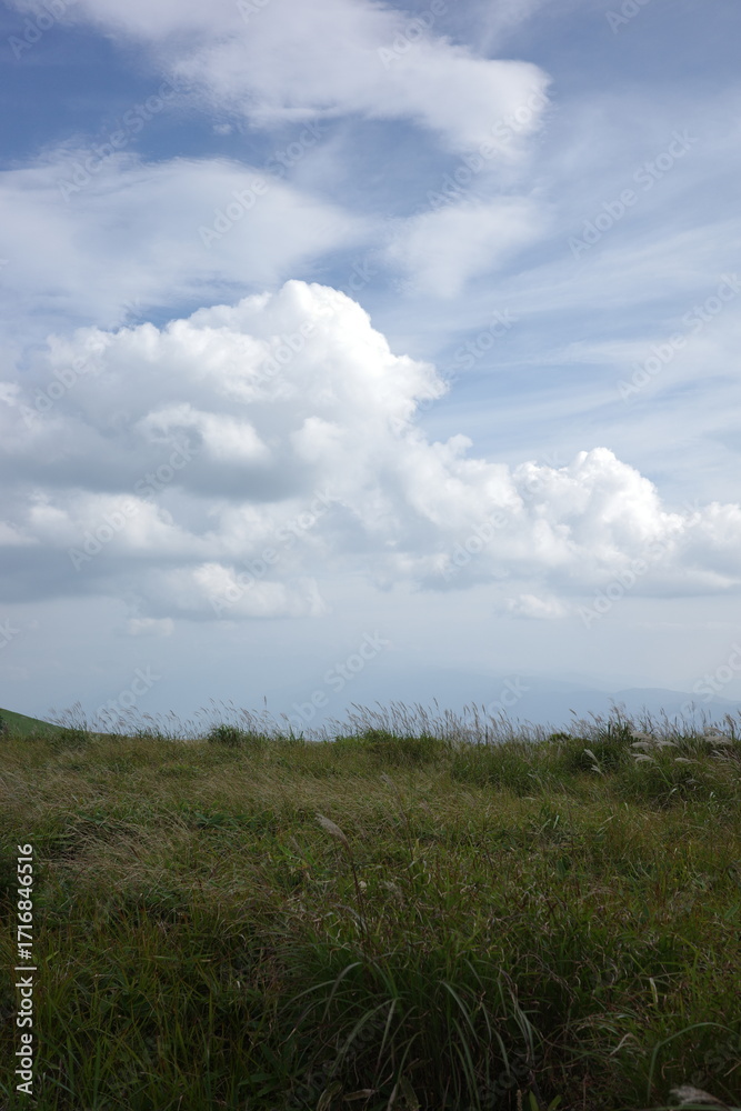 Obraz premium 夏の終わり、青空の下でススキが風に揺れる霧ヶ峰高原。澄んだ空気と広がる草原が、秋の気配を感じさせます。