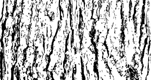 Tree bark texture
