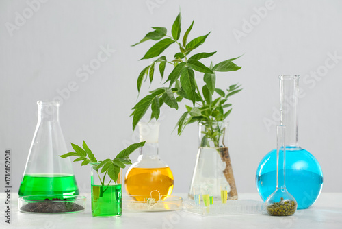 Flasks of samples with mung...