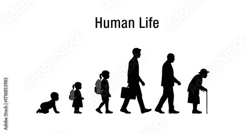 Silhouette series showing the stages of human life from infancy to old age against a clean white background, a simple flat lay composition.