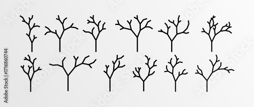 various branches illustration