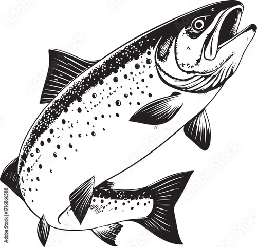 Salmon Fish Fishing Omega-3 Hand-drawn Vector Illustration, Sketch Drawing Doodle Line Linear Symbol Icon Engraving Coloring Book, Black and White Isolated