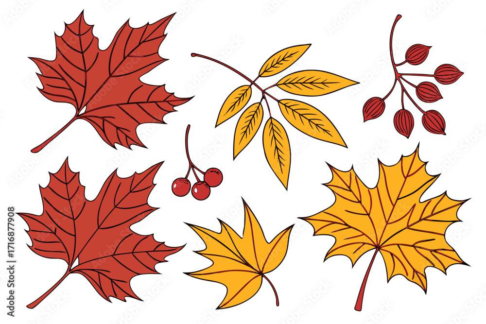 Fototapeta premium Autumn Leaves Set – Vector PNG & Vector File, Transparent Background