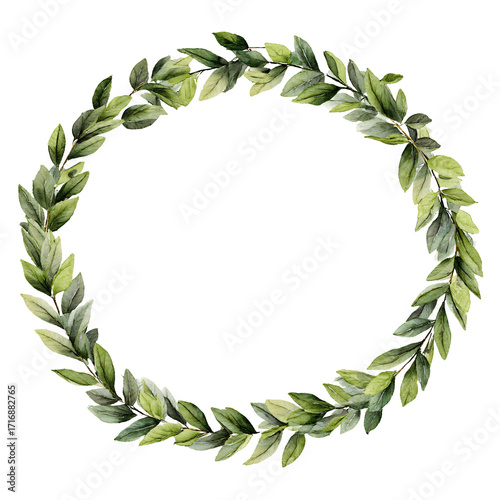 Watercolor laurel wreath with delicate green leaves forming an elegant oval frame element