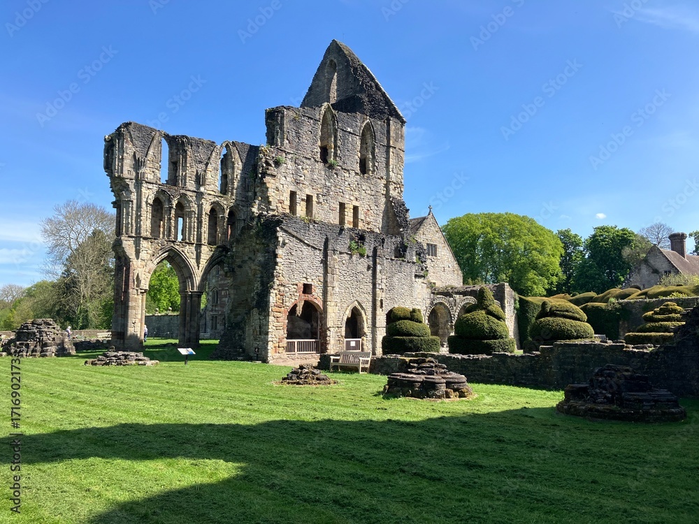Fototapeta premium abbey ruins