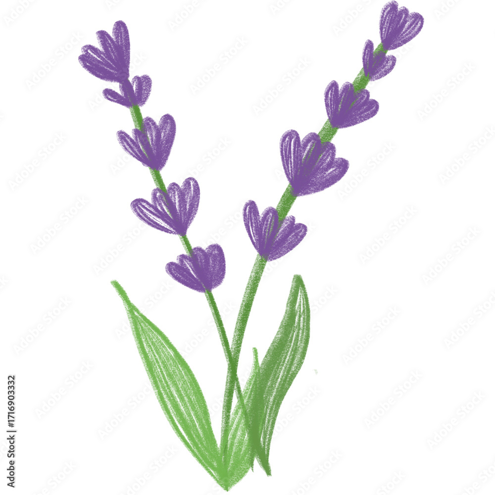 Obraz premium bouquet of flowers