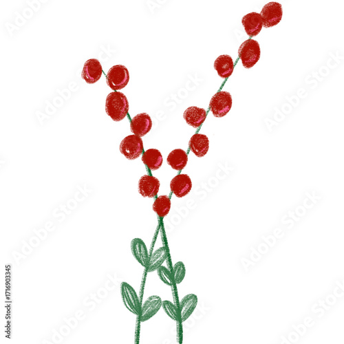 Christmas flowers 