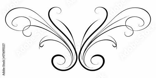 Elegant black flourish with swirling vines and curls on a white background