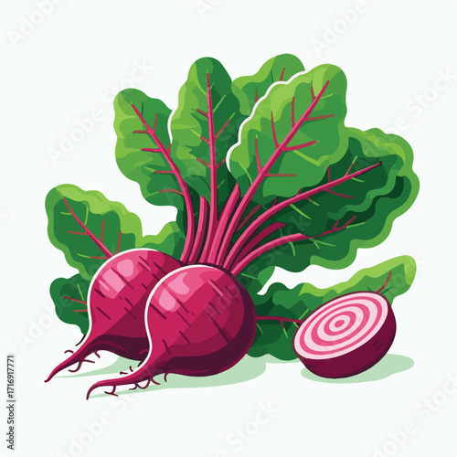 root, beetroot, vegetable, organic, food, beet, red, fresh, healthy, ripe, vegetarian, natural, leaf, ingredient, plant, background, green, raw, closeup, isolated, whole, cut, purple, vegan, sweet, ha