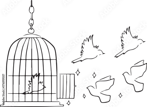 birds in cage