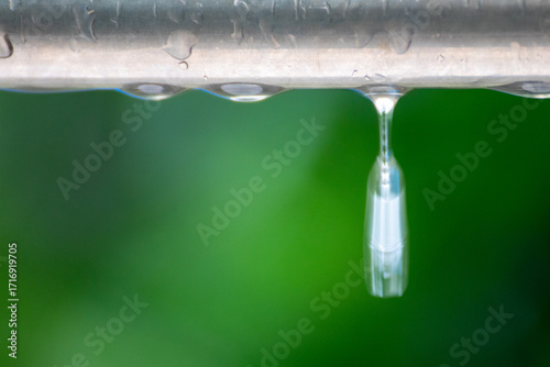 雨に濡れた棒から落ちる水滴