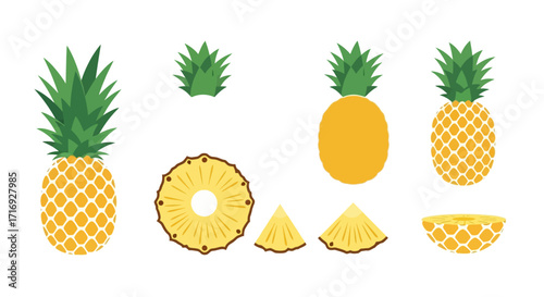 Pineapple Fruit Collection in Flat Style, Set of Fresh Pineapple Fruit with Whole and Sliced Pieces, Tropical Fruit Icon Set Vector Illustration

