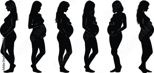 A set of six silhouettes showing the stages of a pregnant woman's body, illustrating the transformation of pregnancy and maternity on a white background.