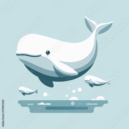 water, animal, mammal, nature, wildlife, marine, ocean, sea, whale, beluga, underwater, beluga whale, wild, white, arctic, life, aquatic, swimming, beautiful, dolphin, swim, background, friendly, aqua