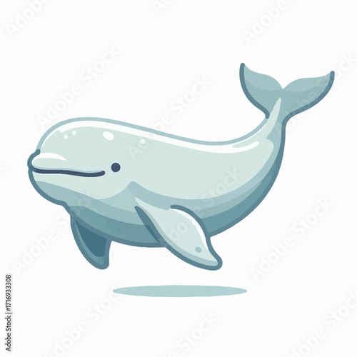 water, animal, mammal, nature, wildlife, marine, ocean, sea, whale, beluga, underwater, beluga whale, wild, white, arctic, life, aquatic, swimming, beautiful, dolphin, swim, background, friendly, aqua