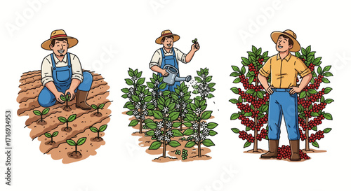Modern coffee cultivation vector art. Follow the journey from planting and caring for coffee seedlings to a happy farmer celebrating a successful harvest of ripe fruit.
