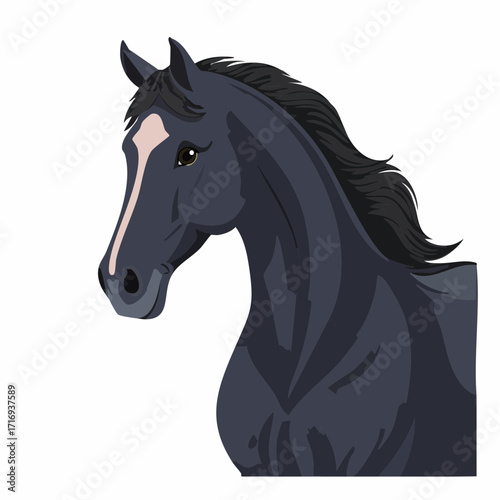 Cheval noir, isolé, fond blanc
