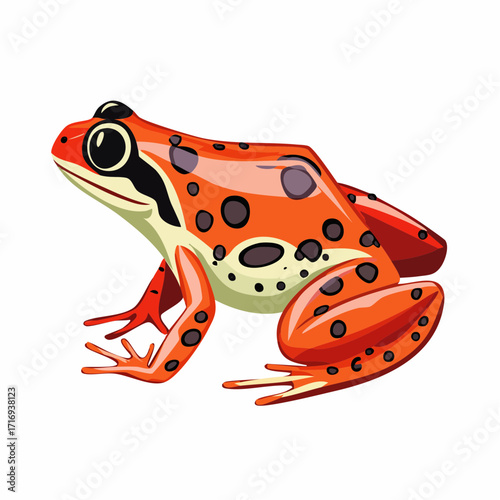 Crapaud rouge vif avec tâches noires, isolé, fond blanc, couleur vive, 3D