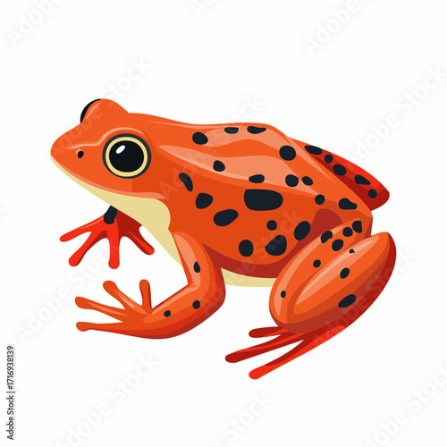 Crapaud rouge vif avec tâches noires, isolé, fond blanc, couleur vive, 3D