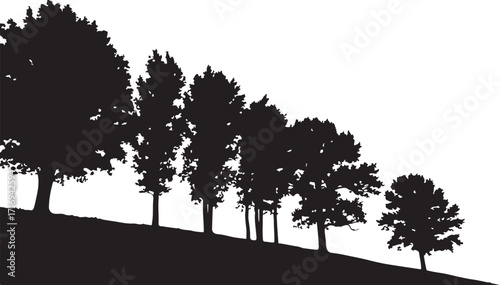 Row of silhouetted trees on hill