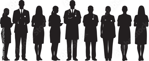 Diverse group of professionals silhouette standing together