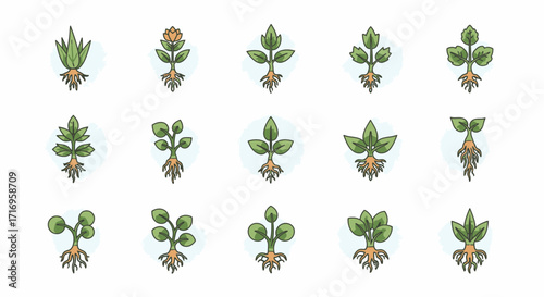 Collection of various stylized plant sprouts with roots.