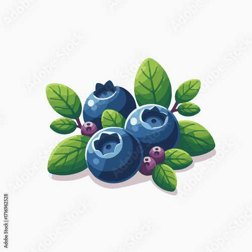 fresh, bilberry, berry, blueberry, background, food, blue, ripe, leaves, healthy, fruit, raw, dessert, delicious, sweet, closeup, juicy, huckleberry, white, tasty, wild, diet, organic, ingredient, gro