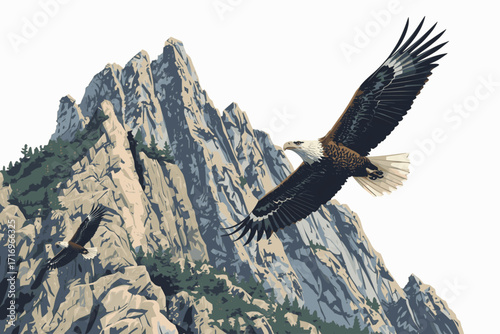 A vector illustration of a rugged mountain cliff with soaring eagles, using solid colors and a white background