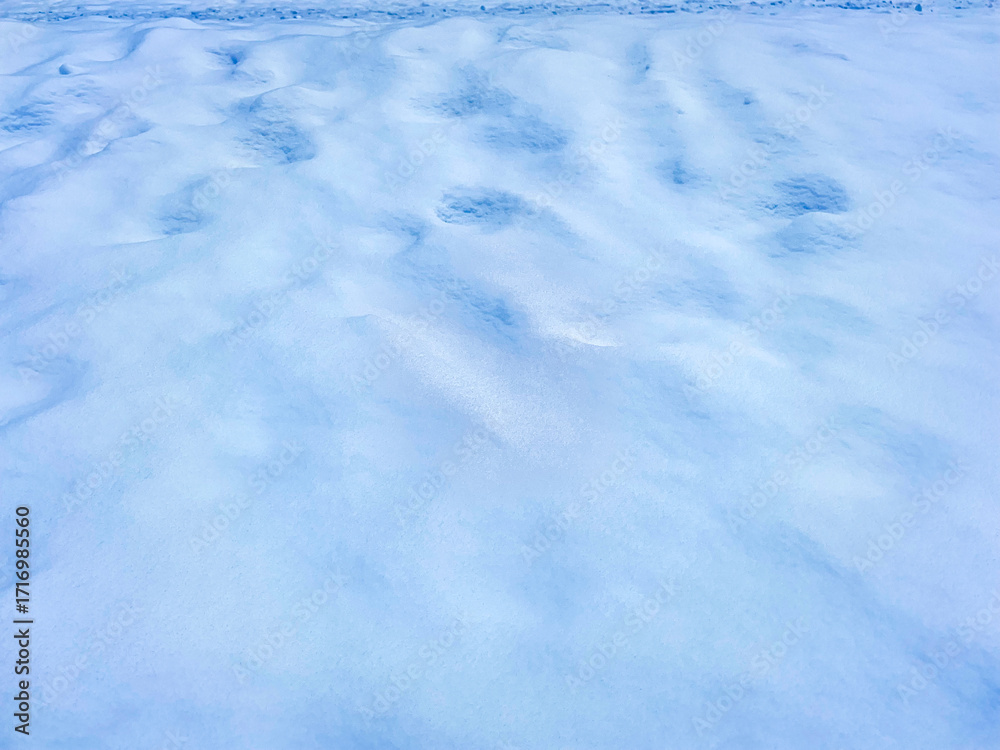 Fototapeta premium A clean surface of fresh snow cover with a soft relief and a light bluish tint, without traces or impurities